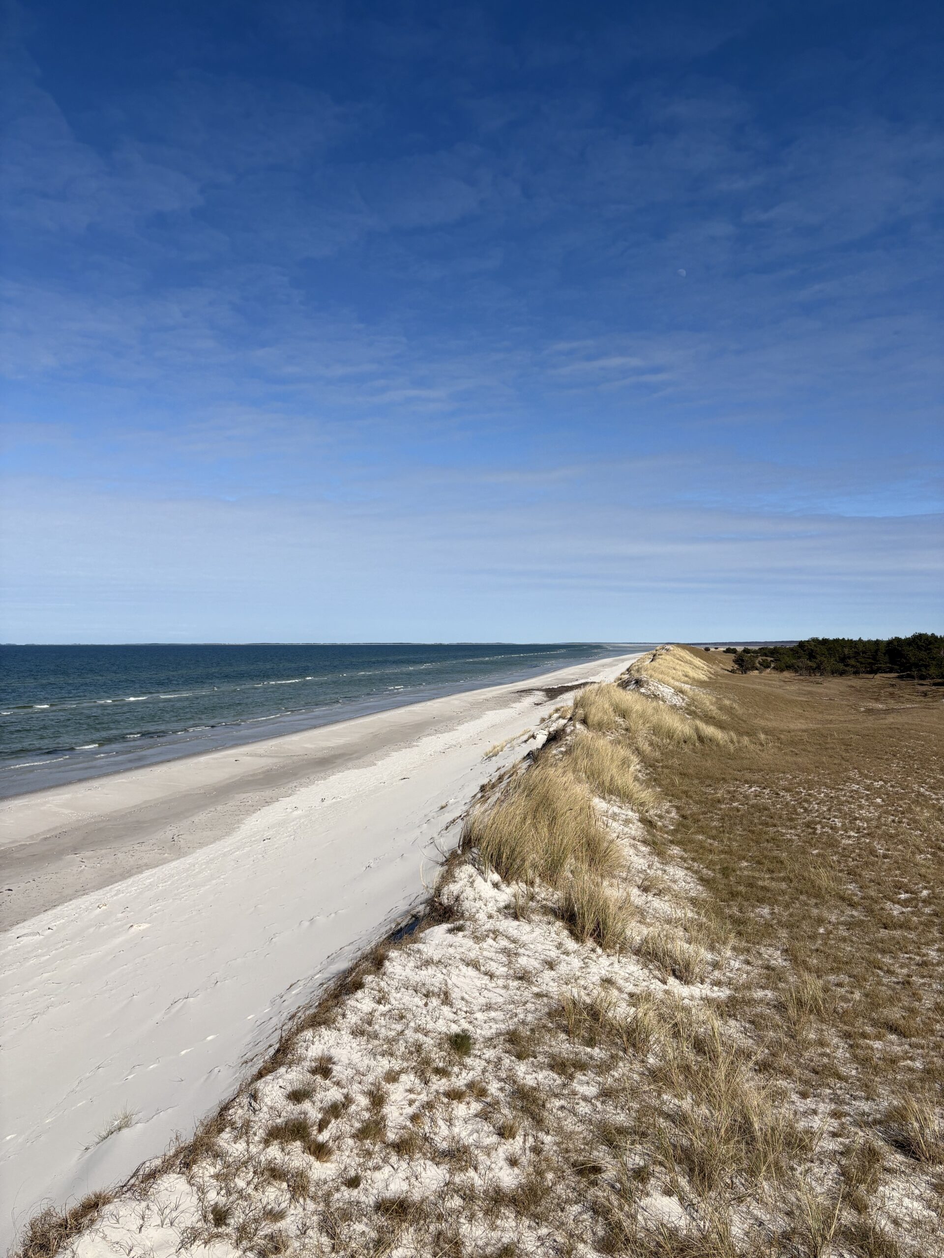 essen-und-trinken-in-warnem-nde-warnem-nde-erleben