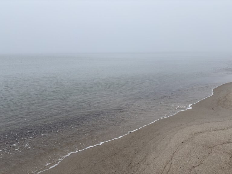 Warnem nde Erleben Zwischen Der Atlantik Und Der Ostsee Erlebnisse 